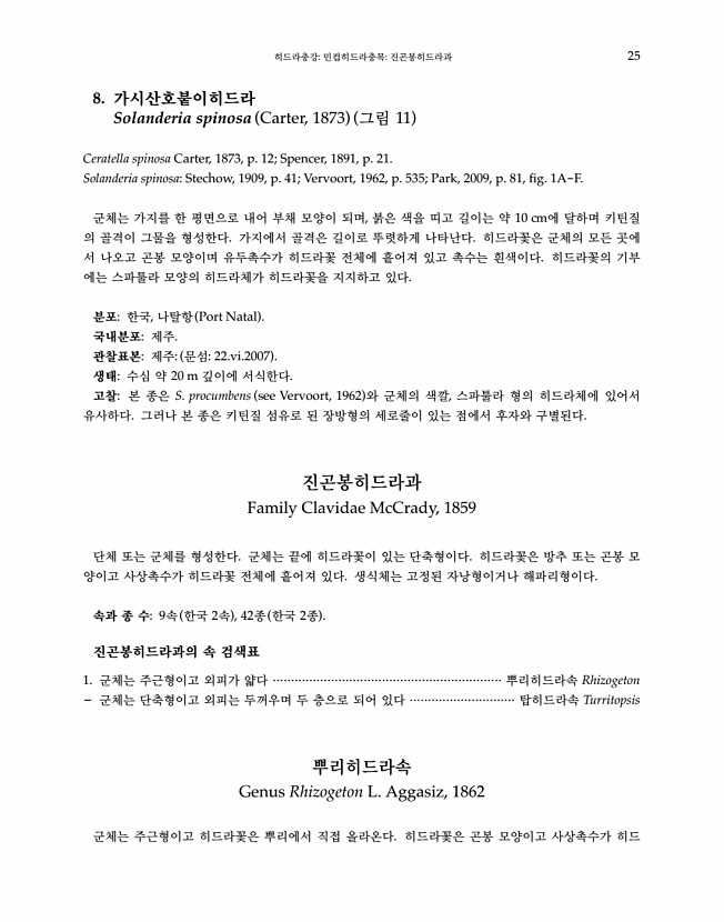 25페이지
