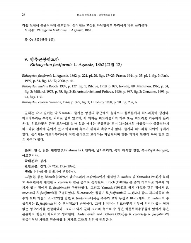 26페이지