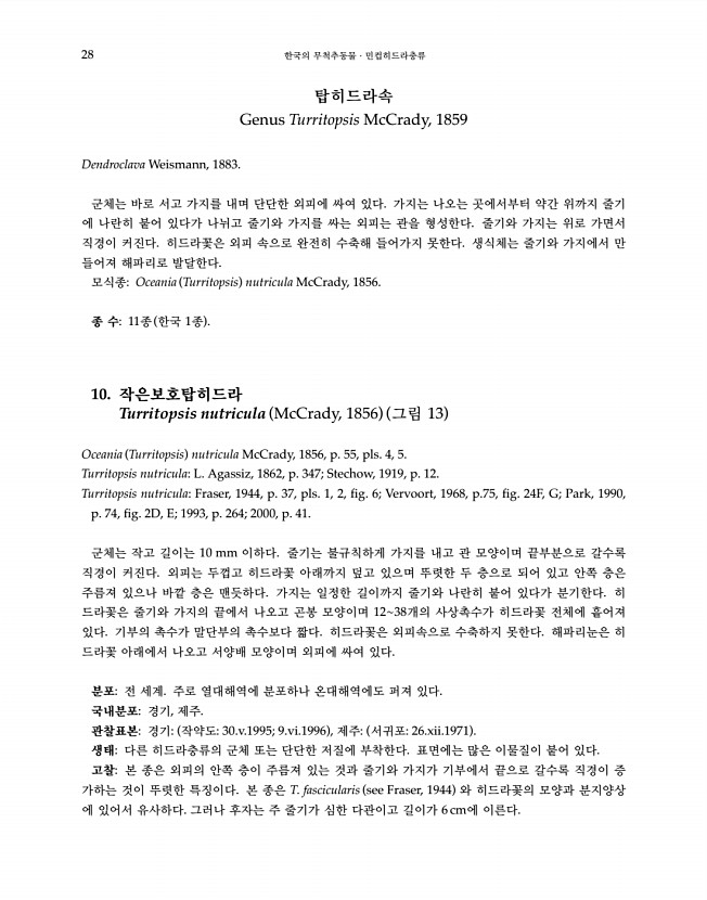 28페이지
