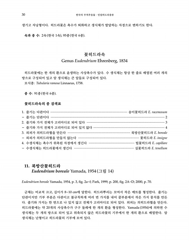 30페이지