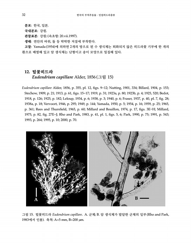 32페이지