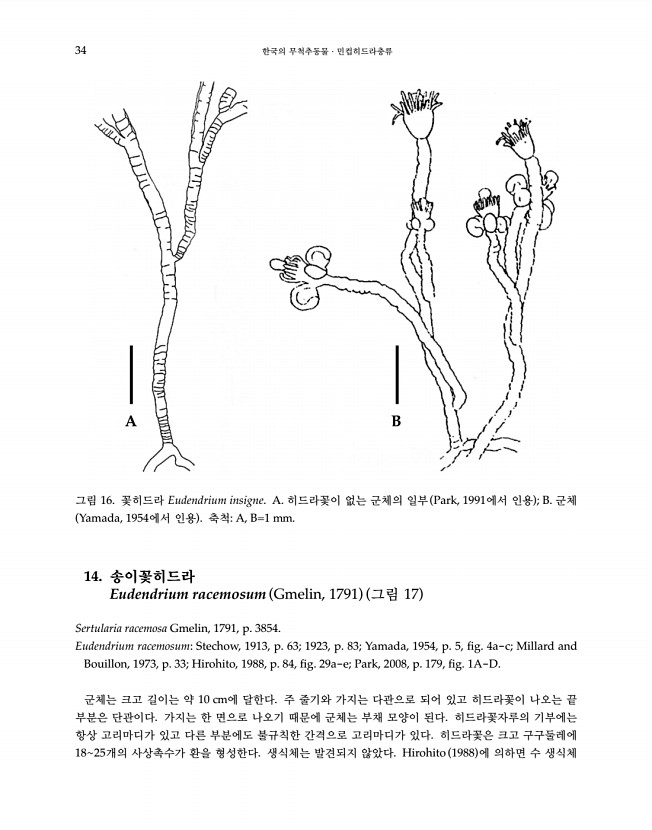 34페이지