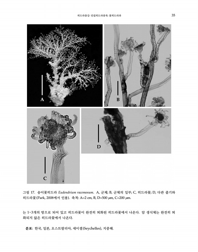35페이지