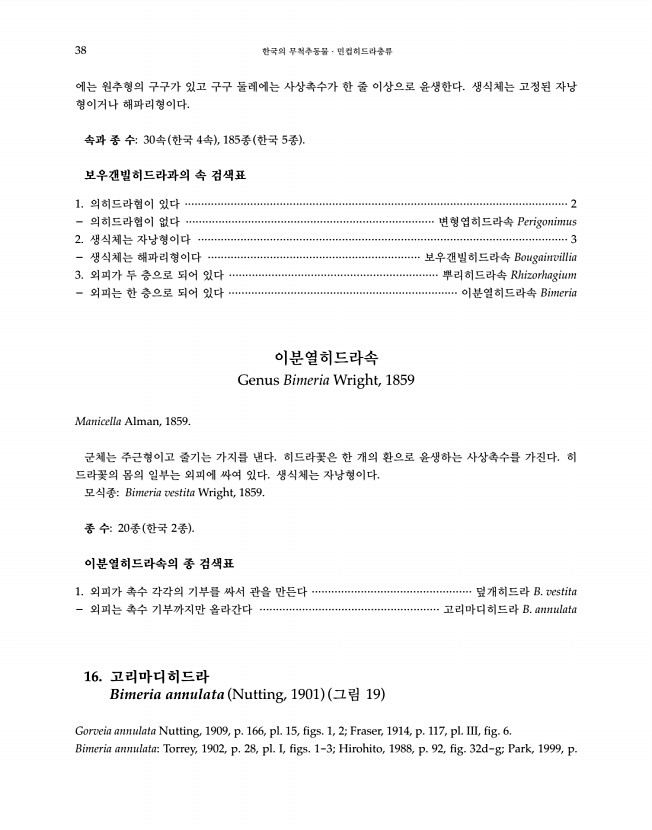 38페이지