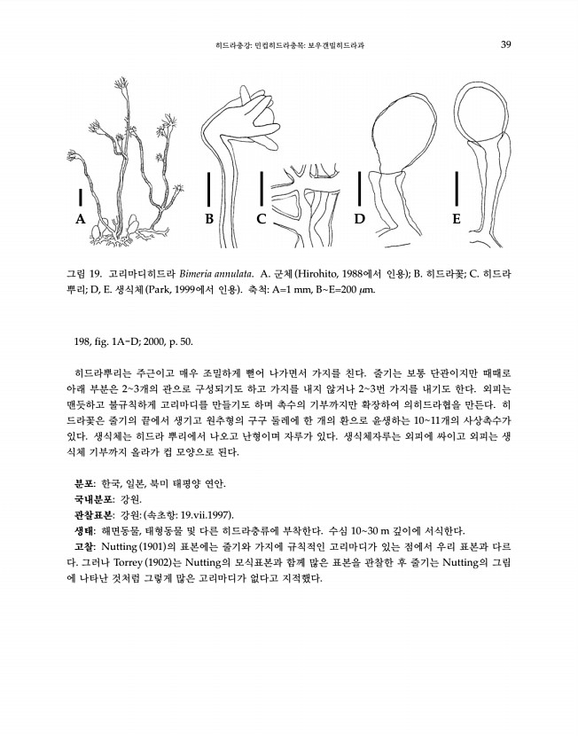 39페이지