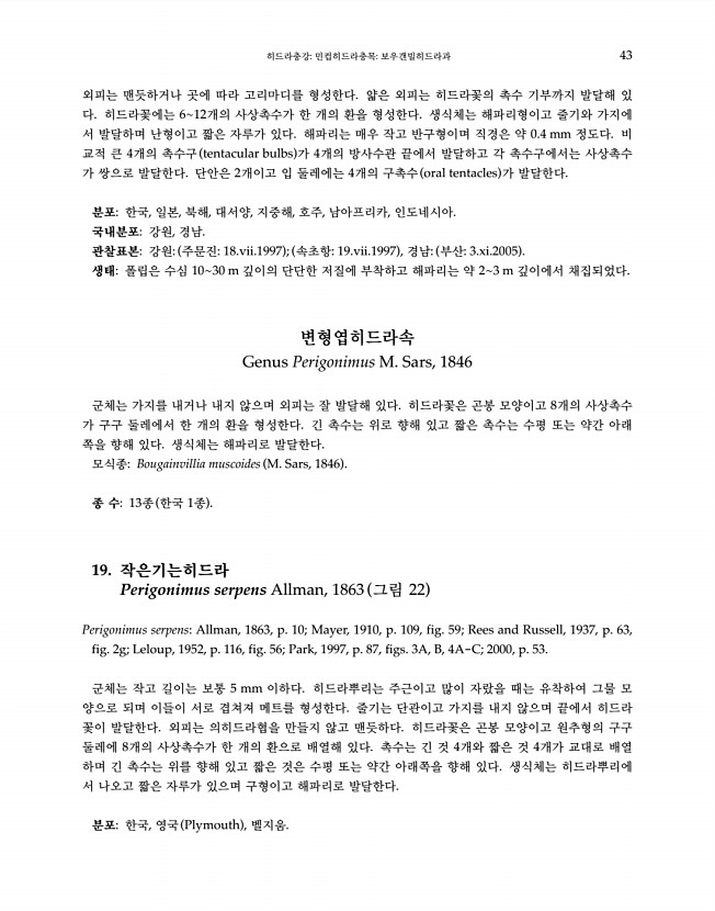 43페이지