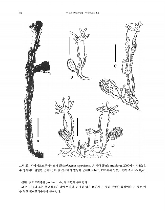 46페이지