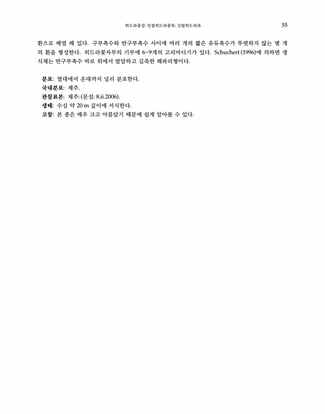 55페이지