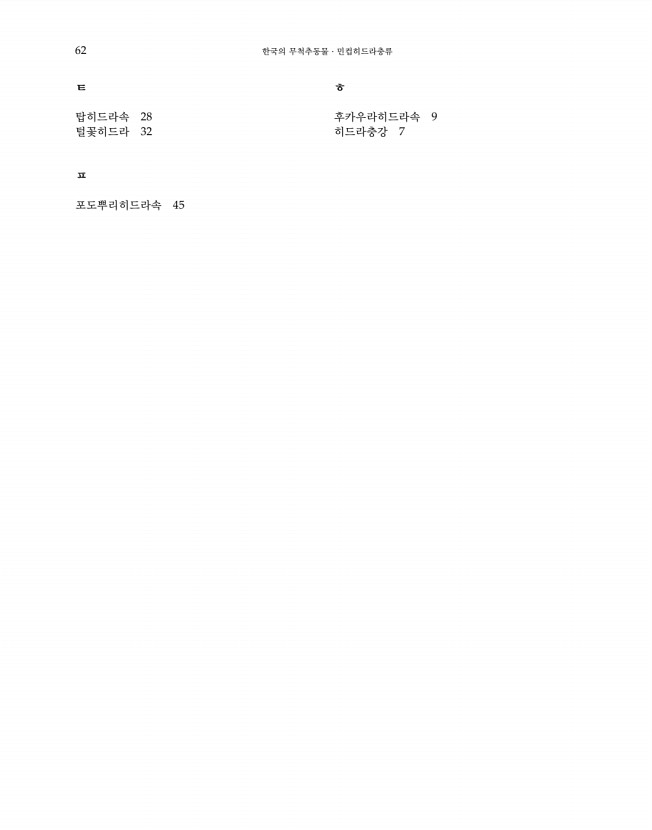 62페이지