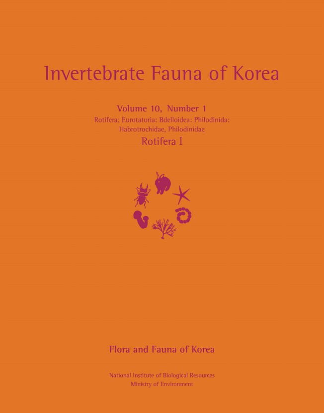 페이지