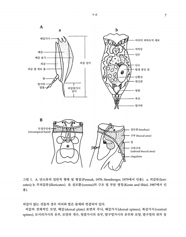 7페이지