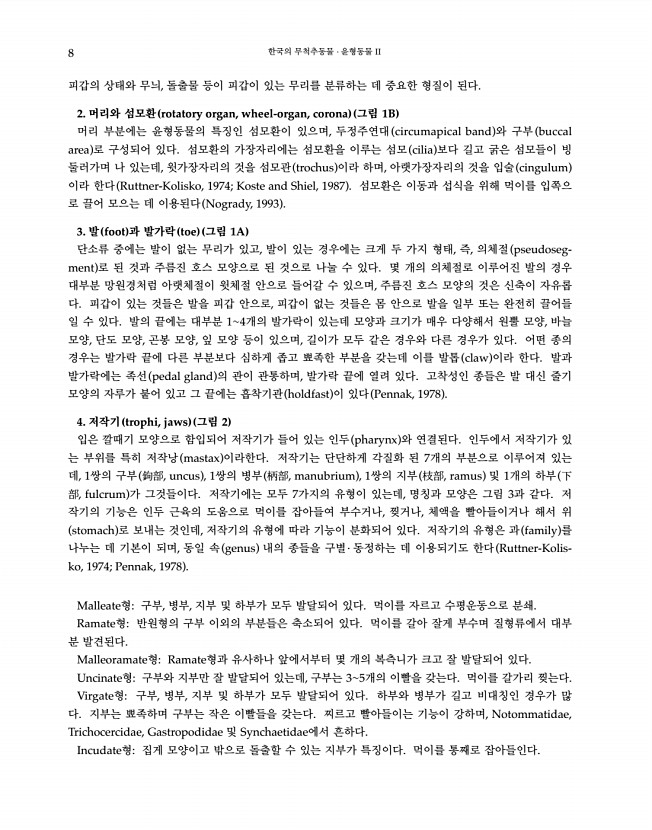 8페이지