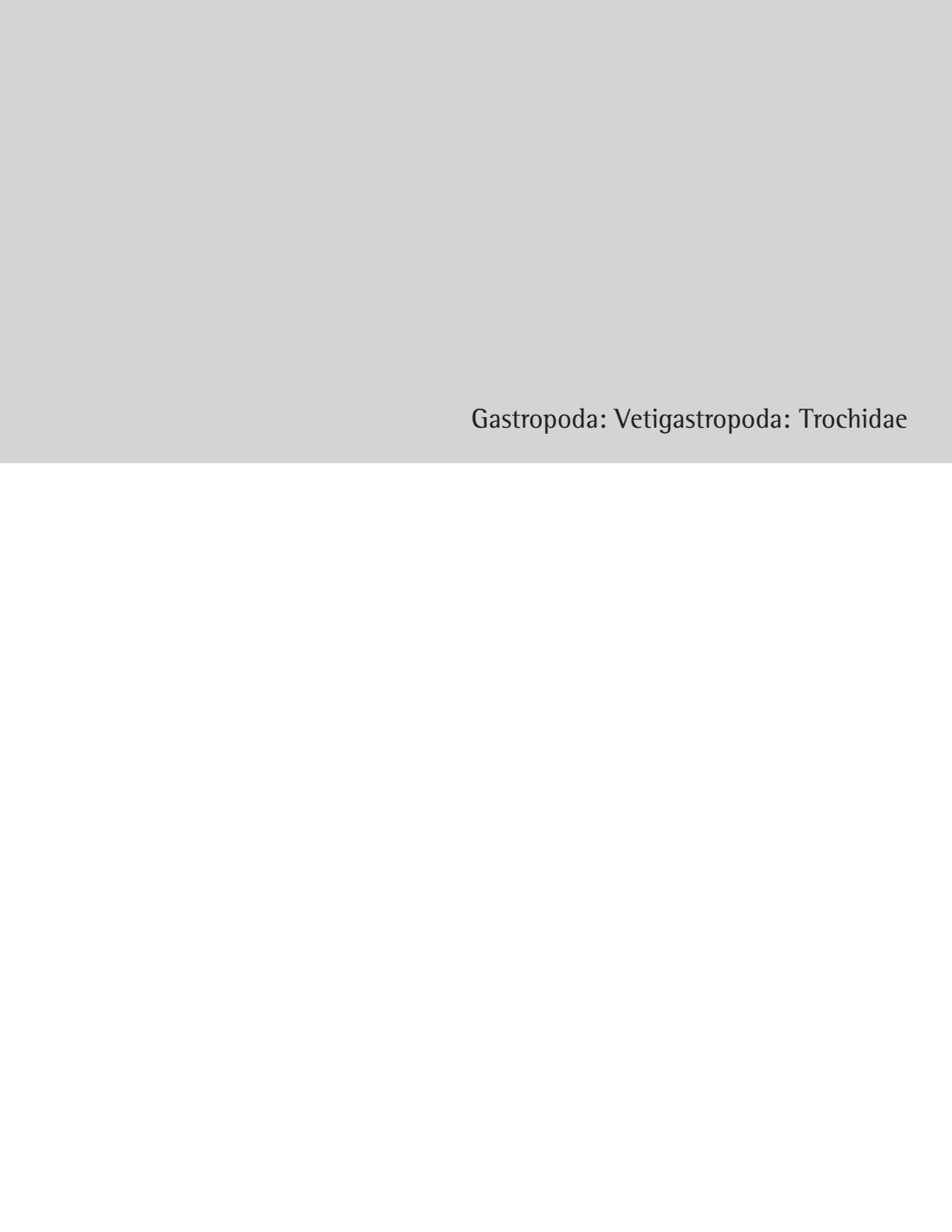 13쪽 확대 이미지