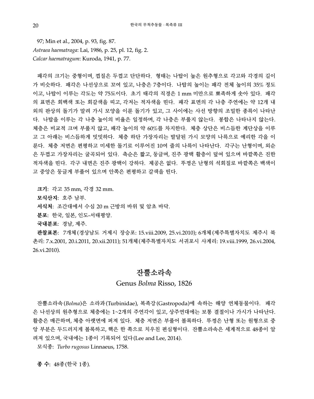 페이지
