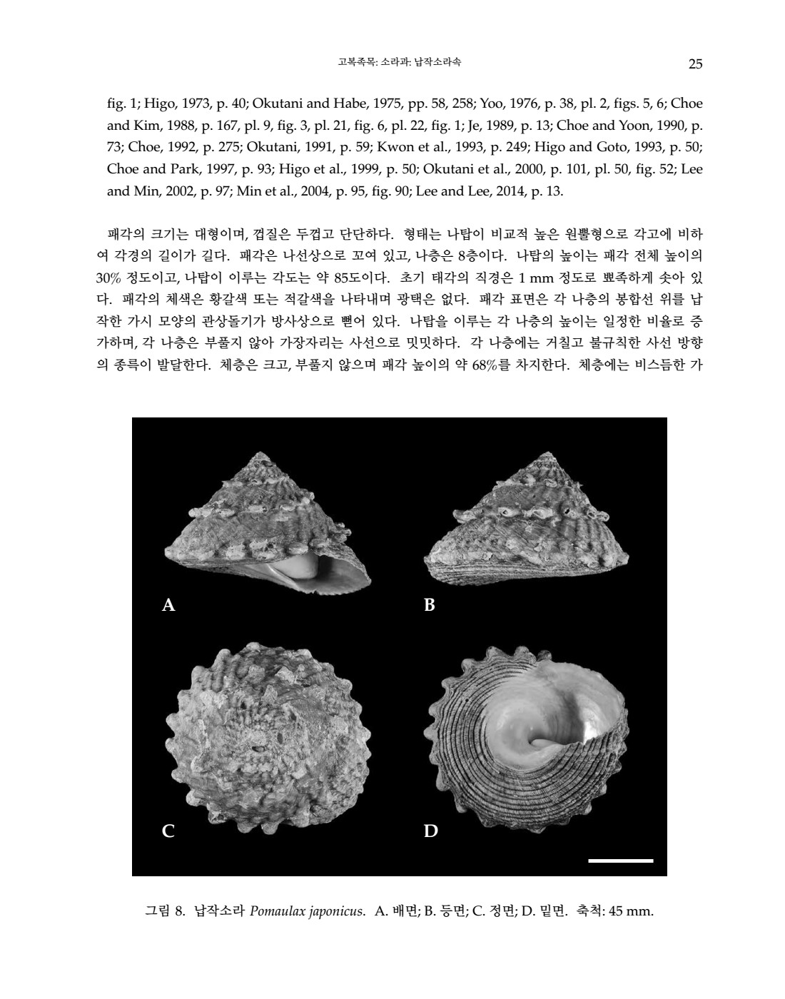 페이지