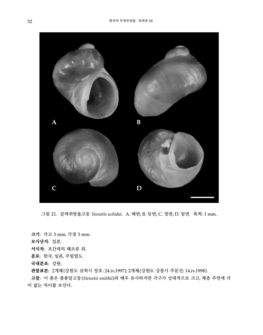 페이지