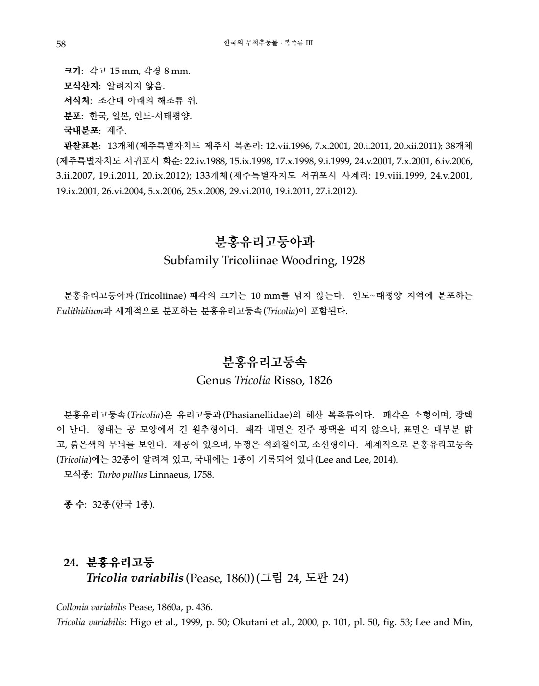 페이지
