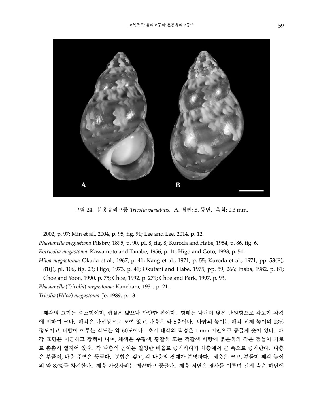 페이지