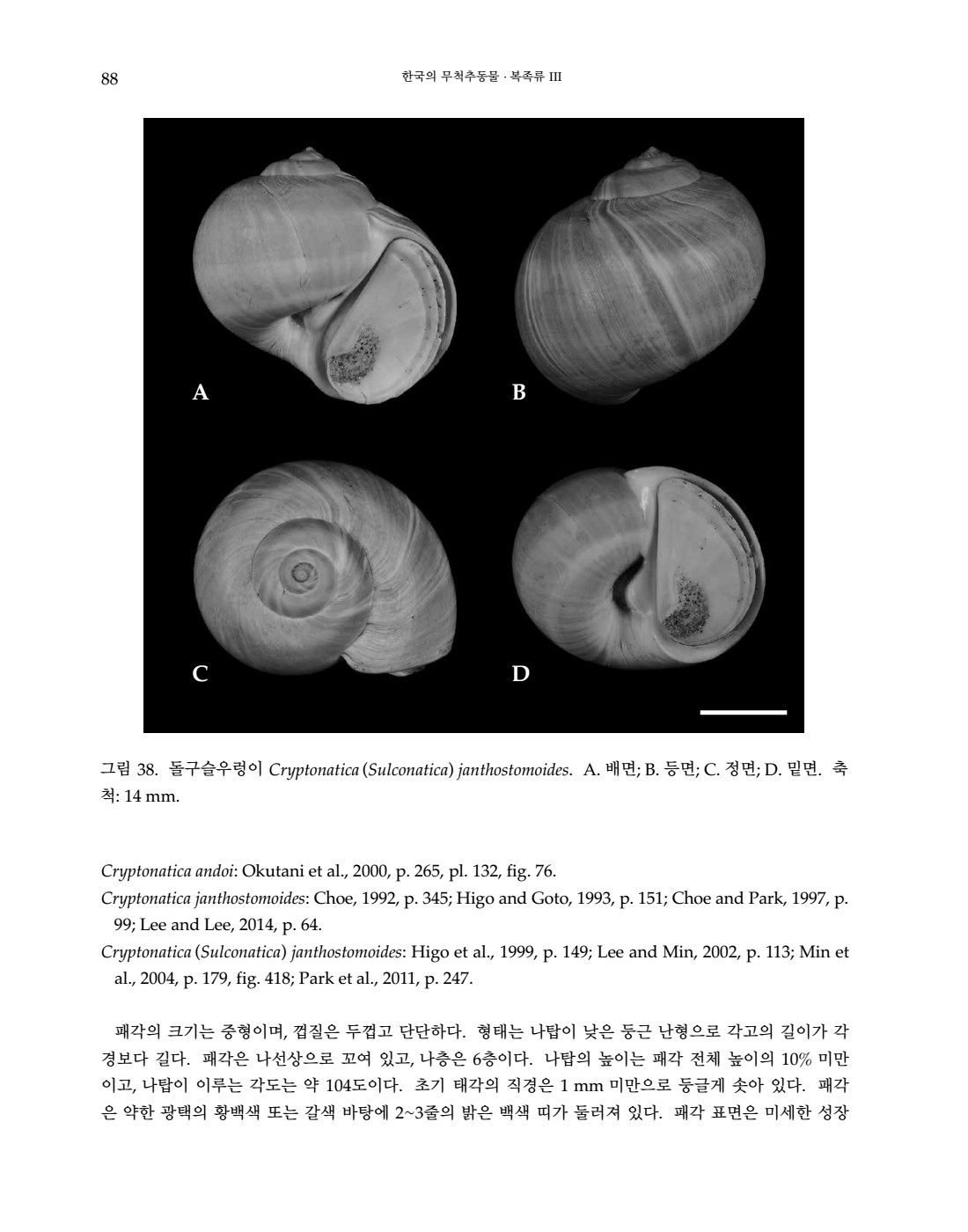페이지