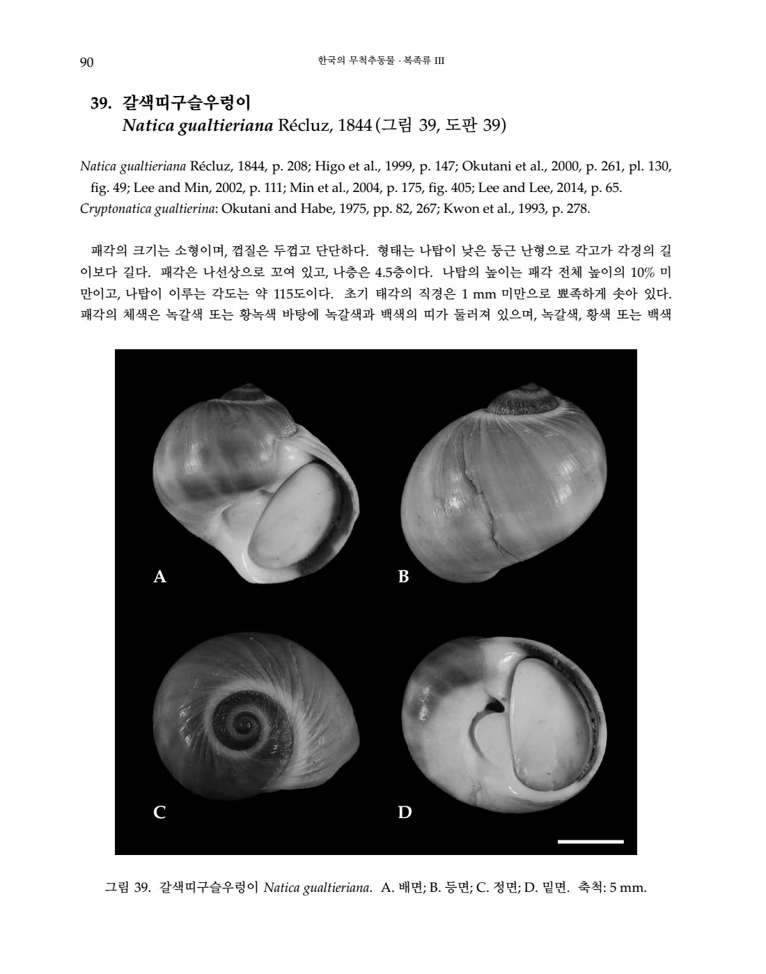 페이지