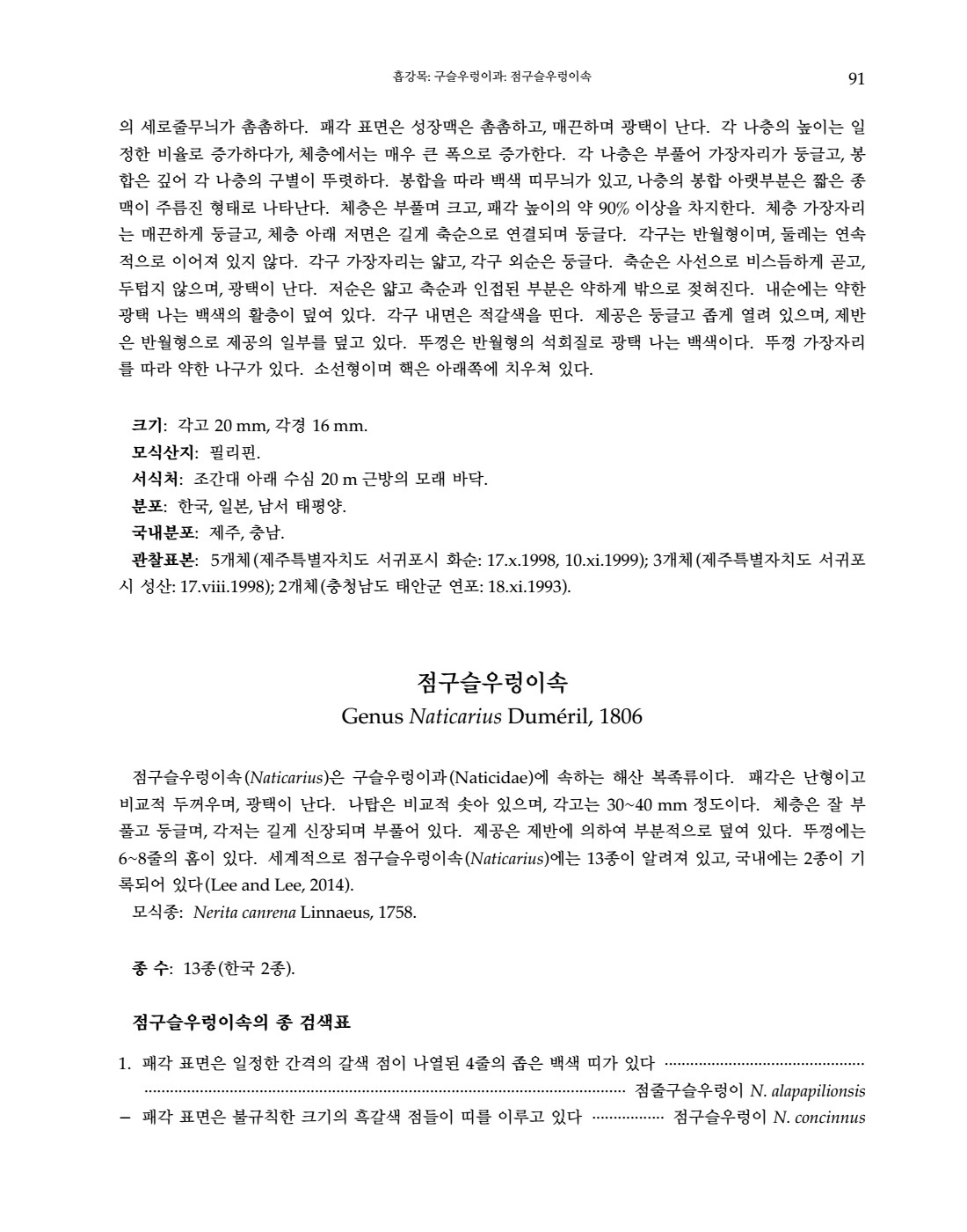 페이지