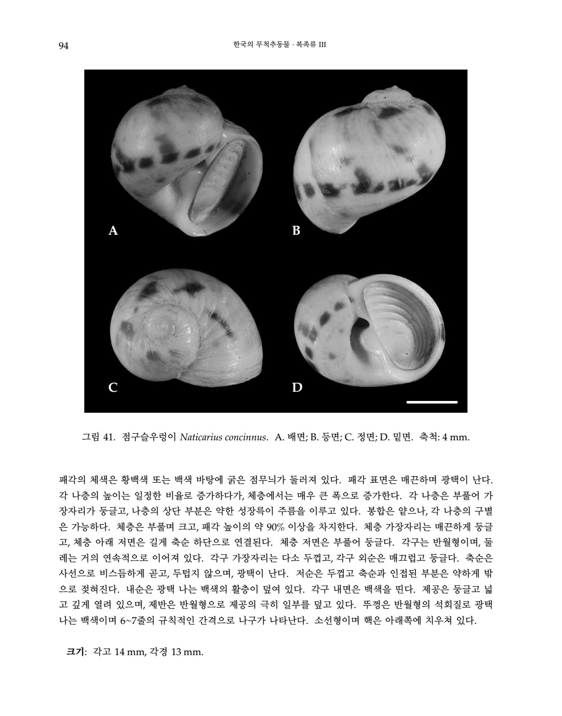 페이지