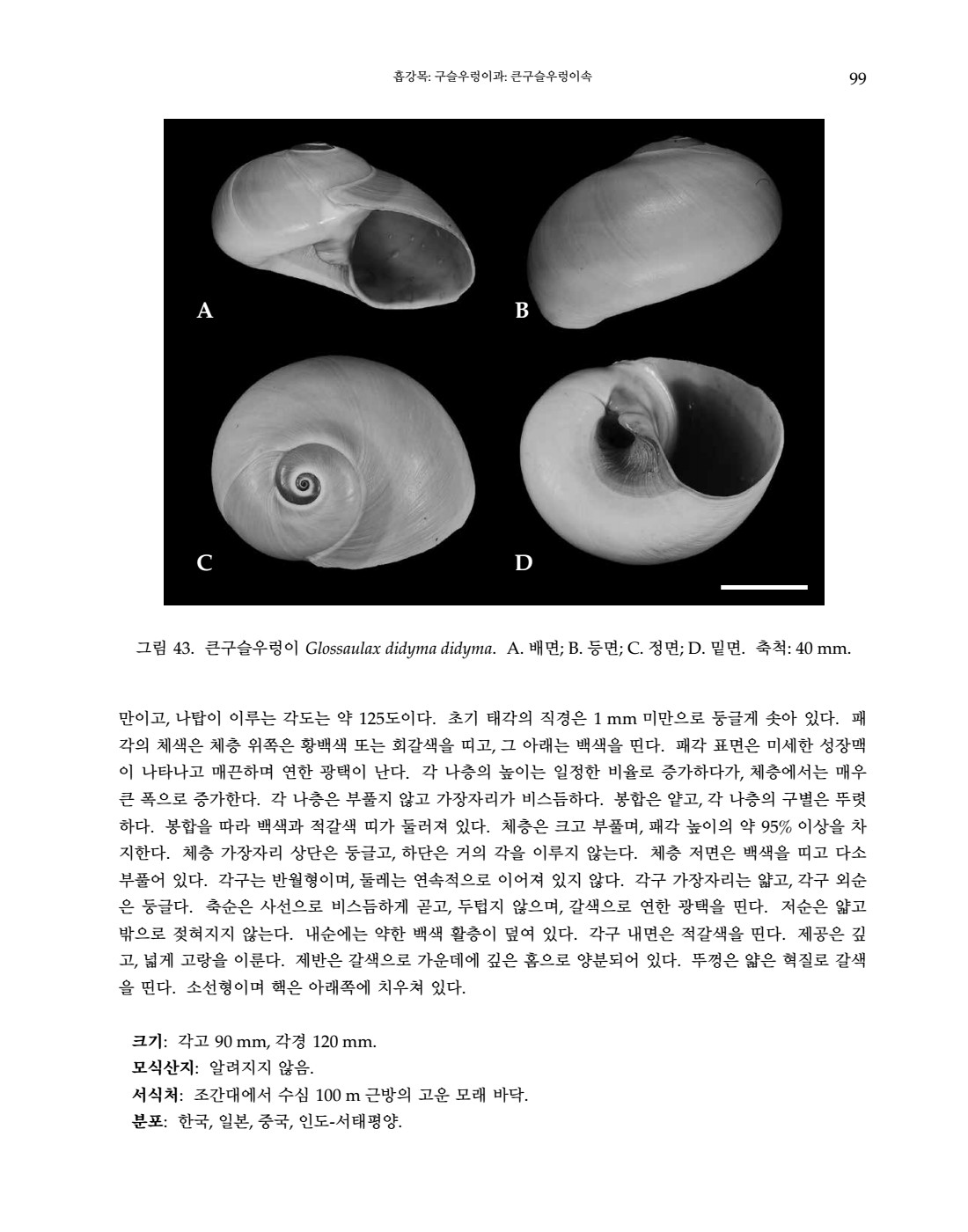 페이지