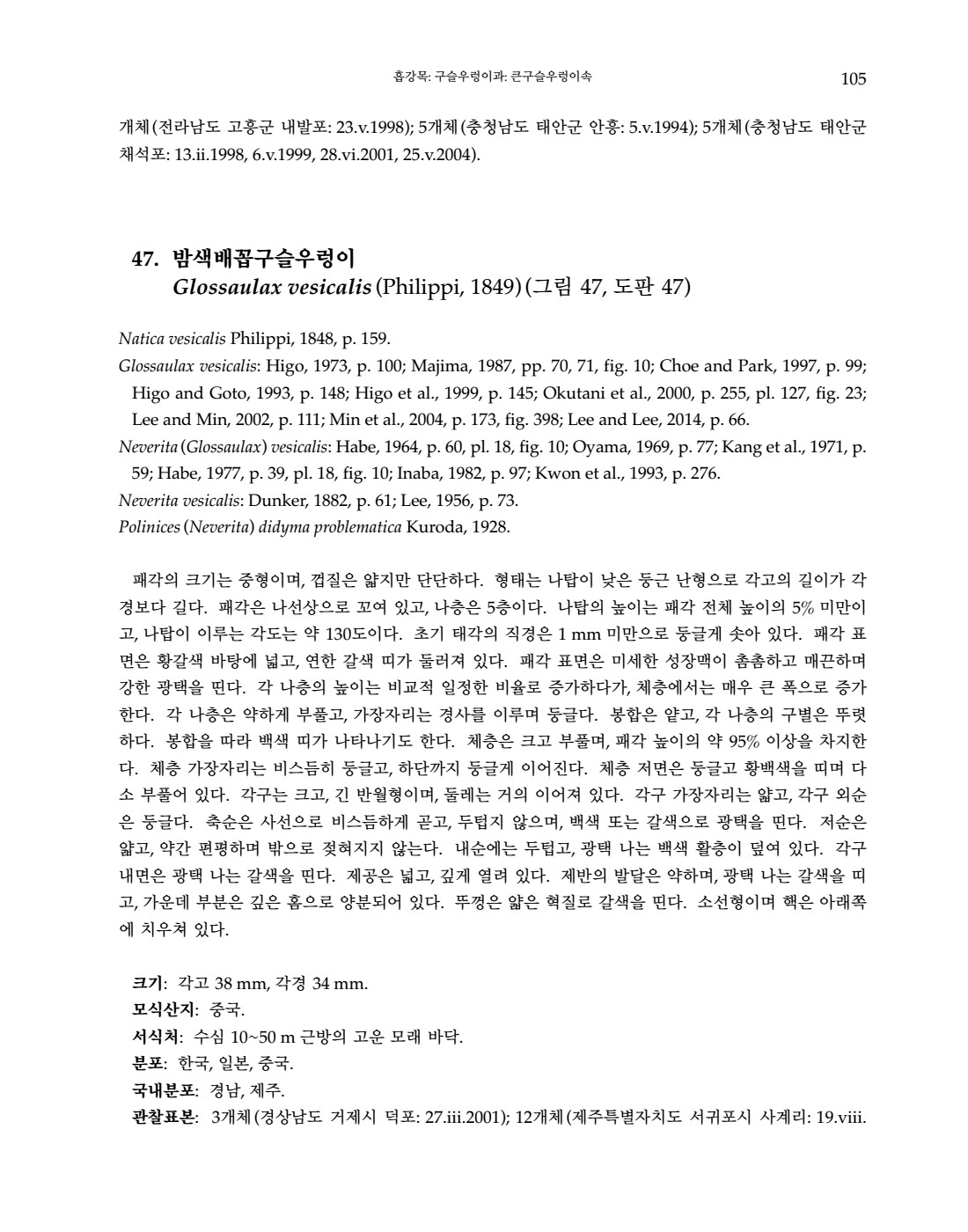 페이지