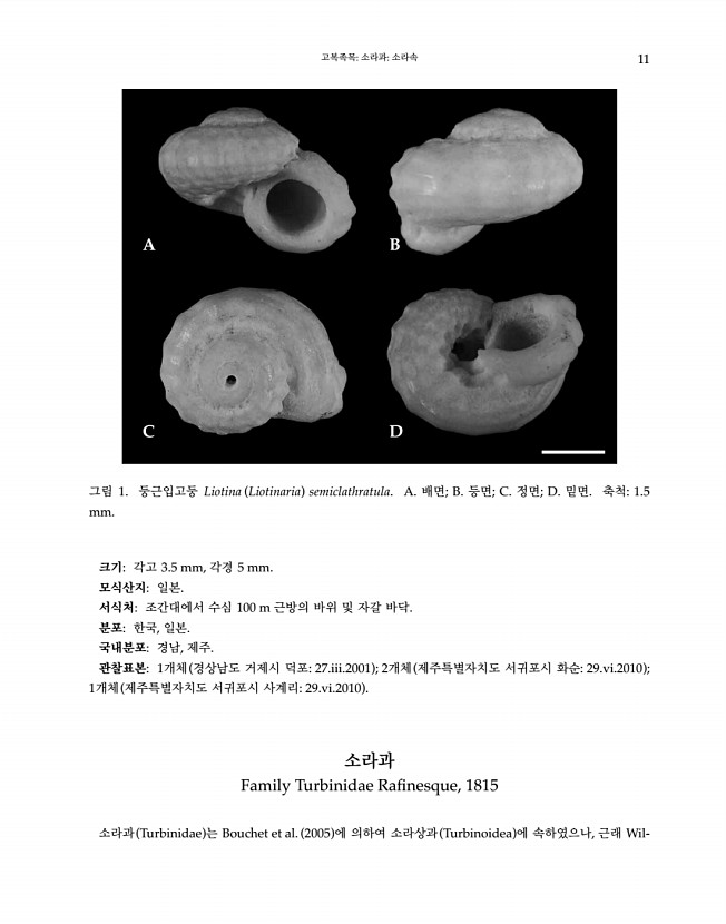 11페이지