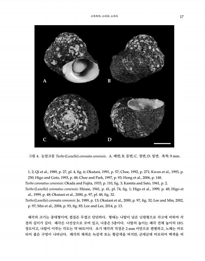 17페이지