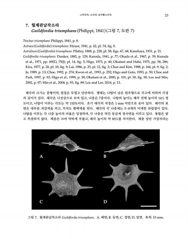 23페이지