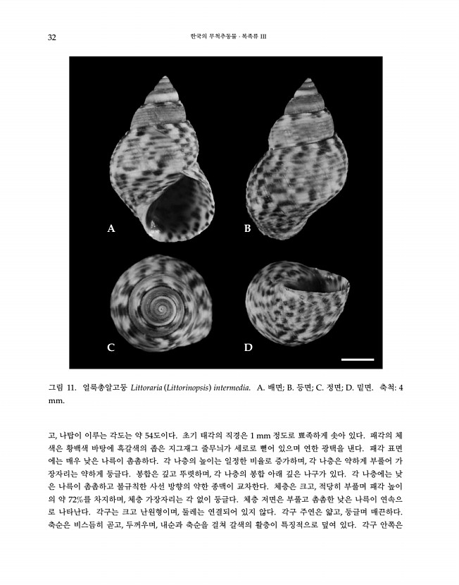 32페이지