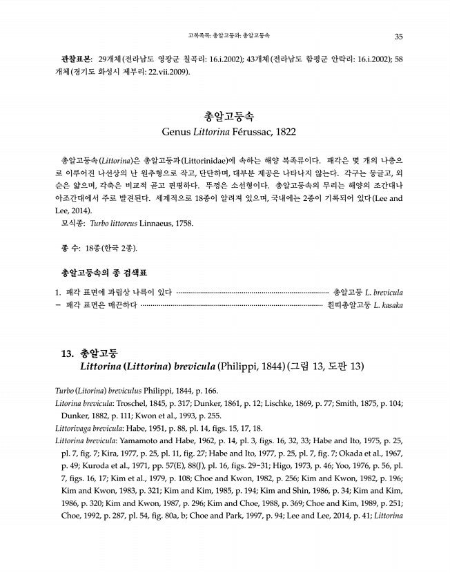 35페이지