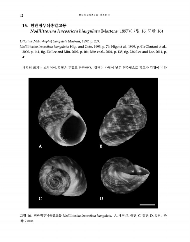 42페이지