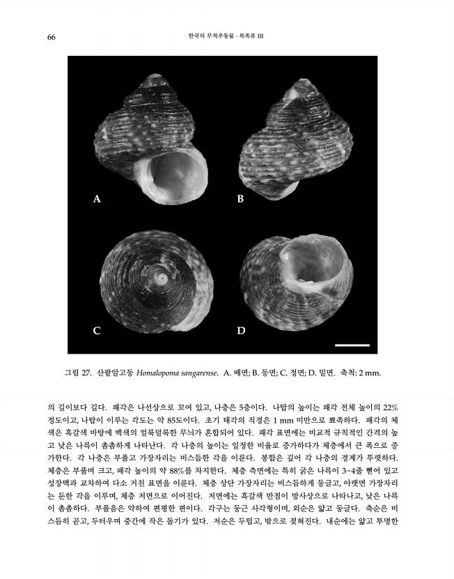 66페이지