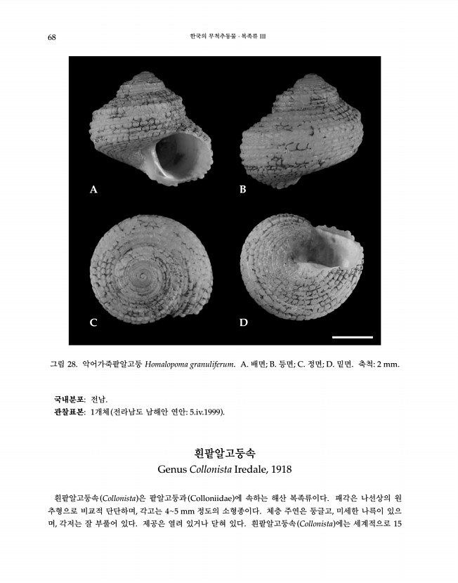 68페이지