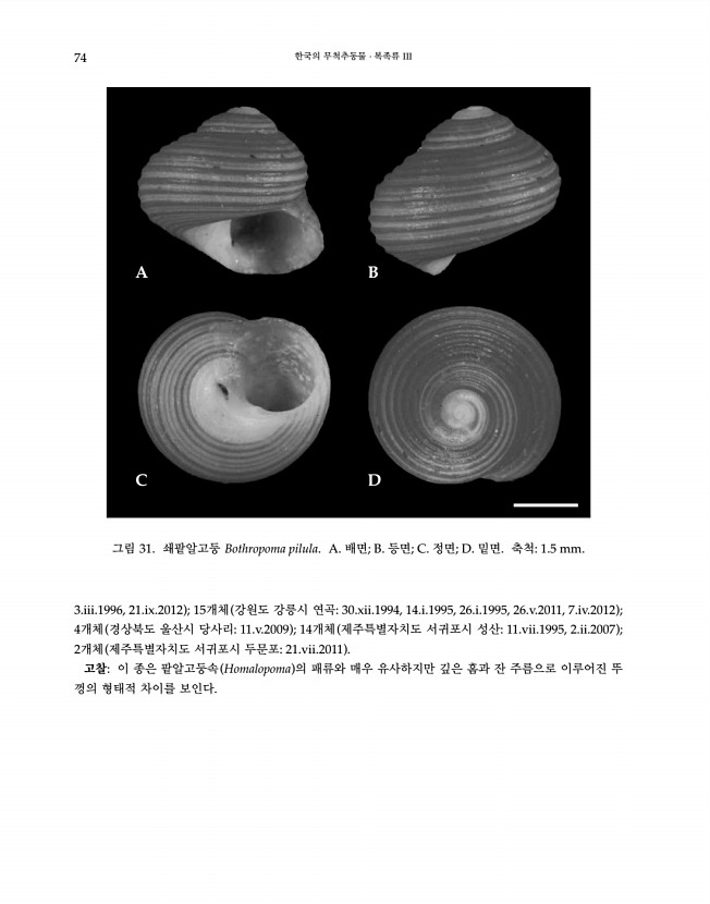 74페이지