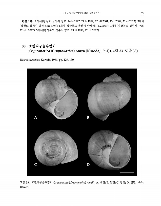 79페이지