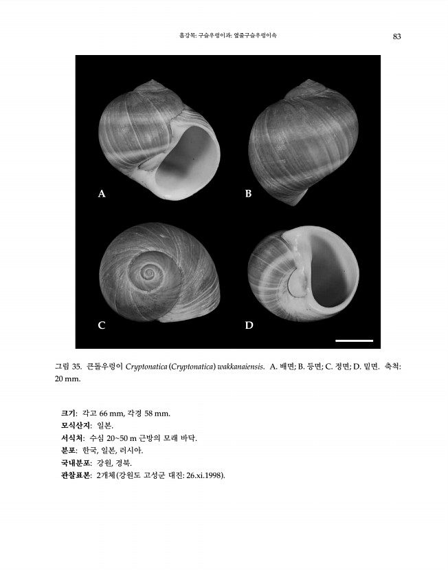 83페이지