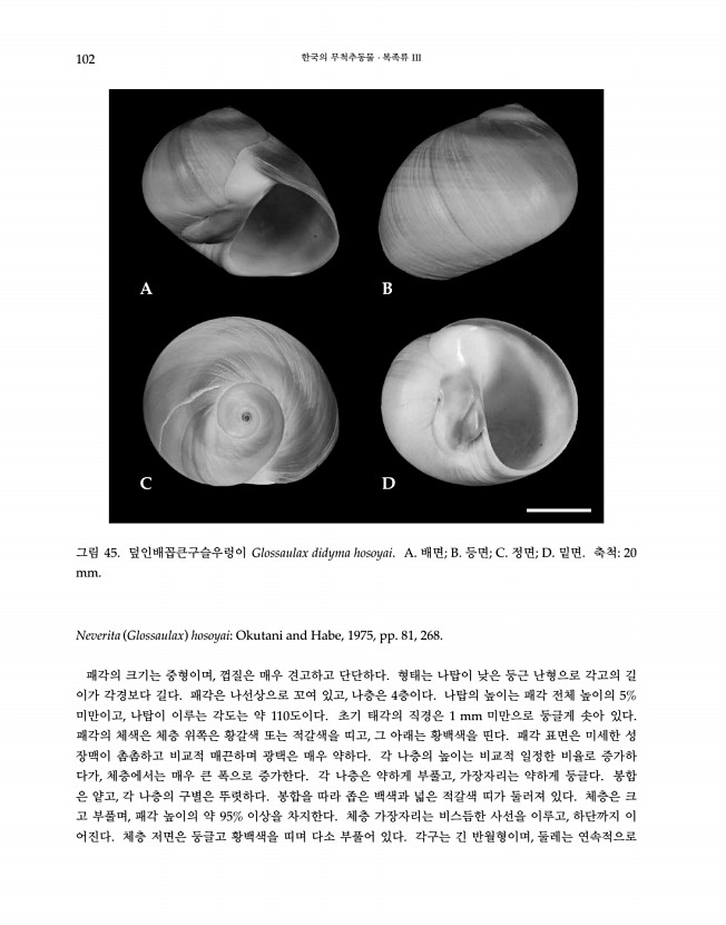 102페이지