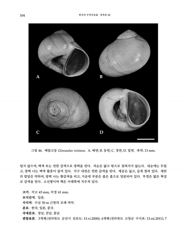 104페이지