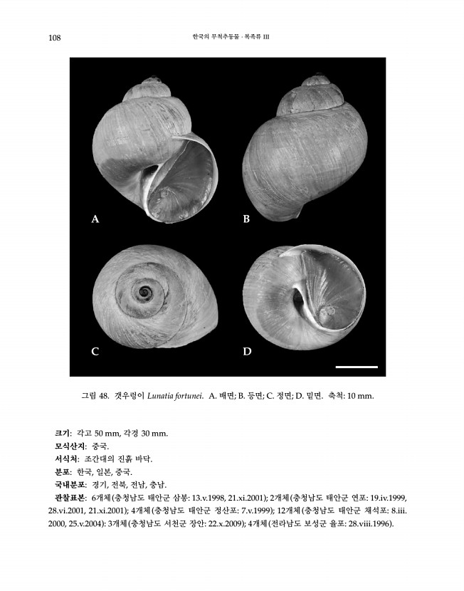 108페이지