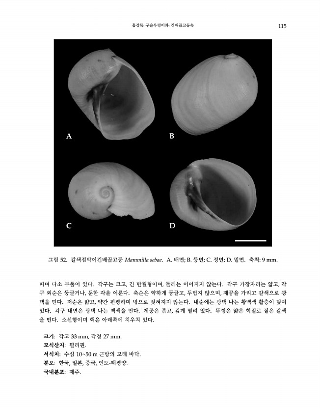 115페이지