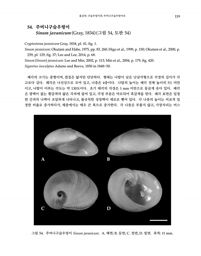 119페이지