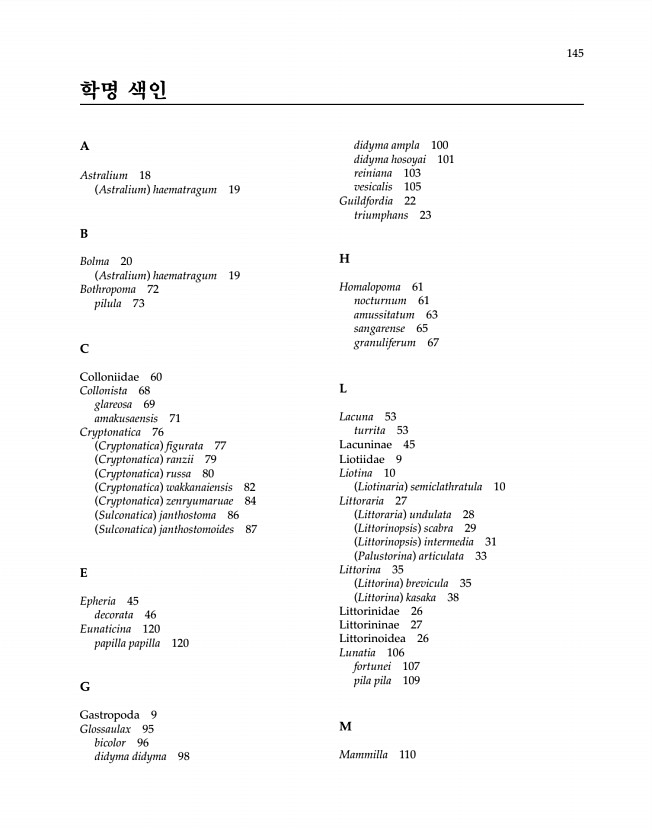 145페이지