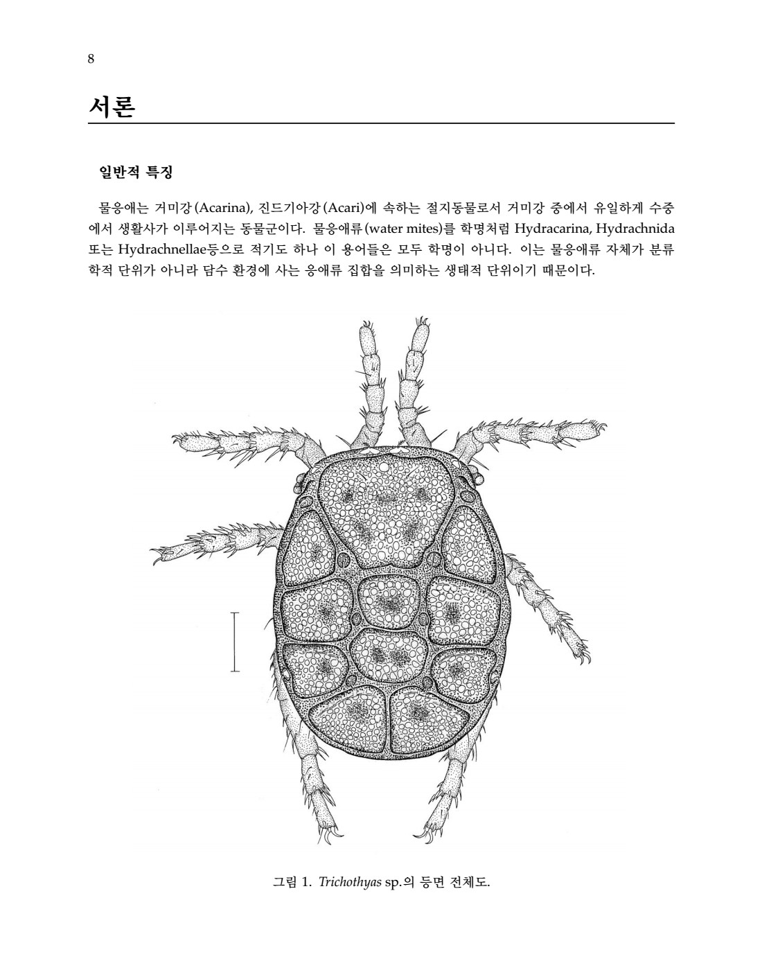 페이지