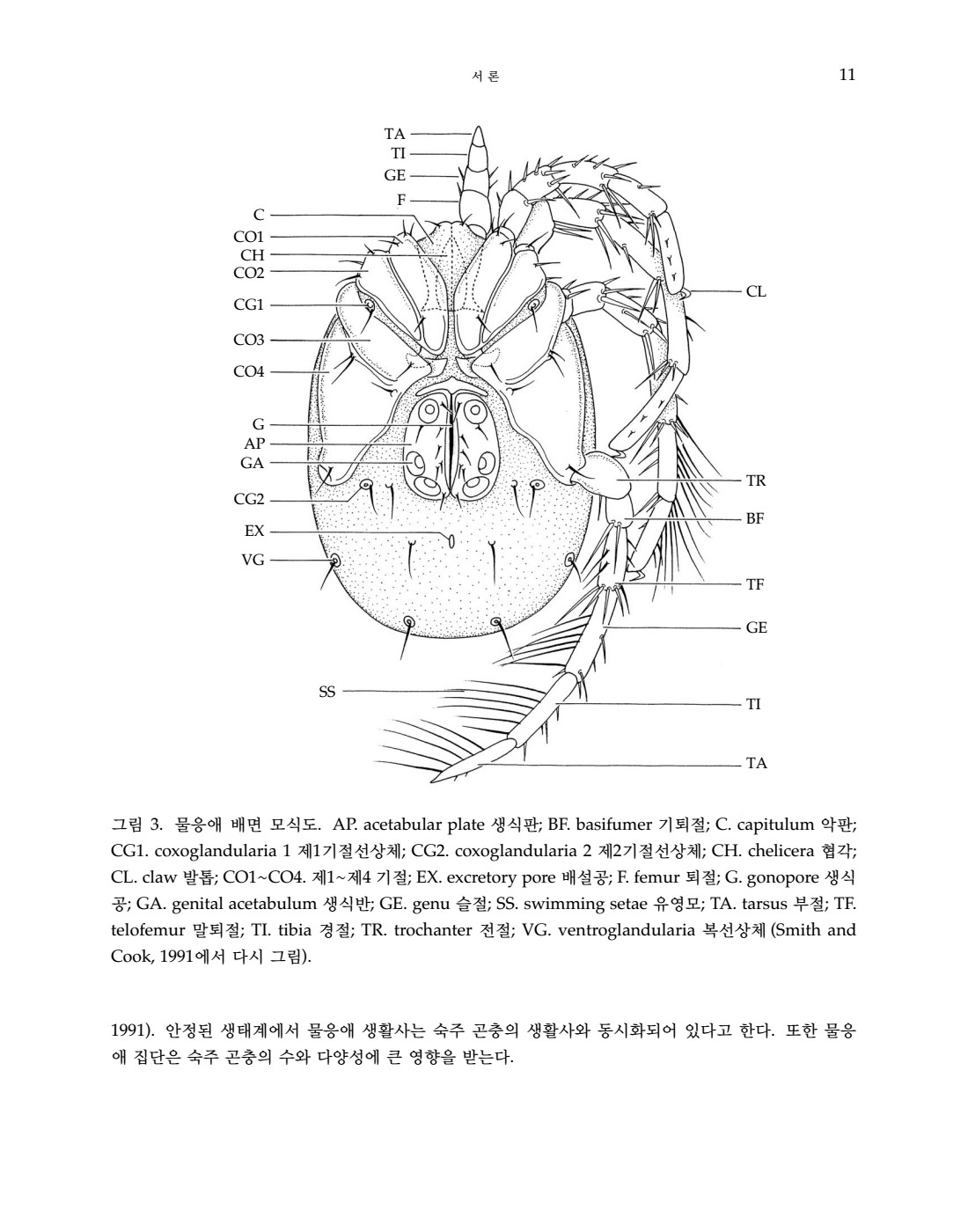 페이지