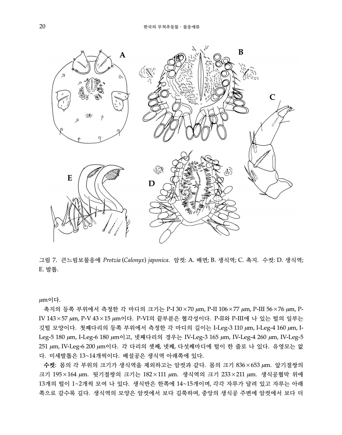페이지