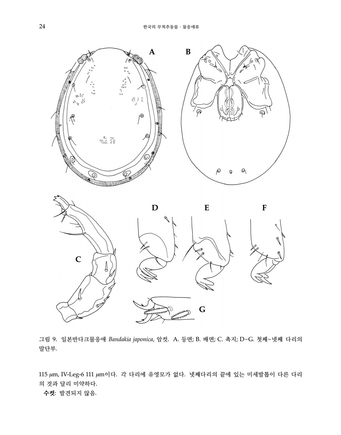 페이지