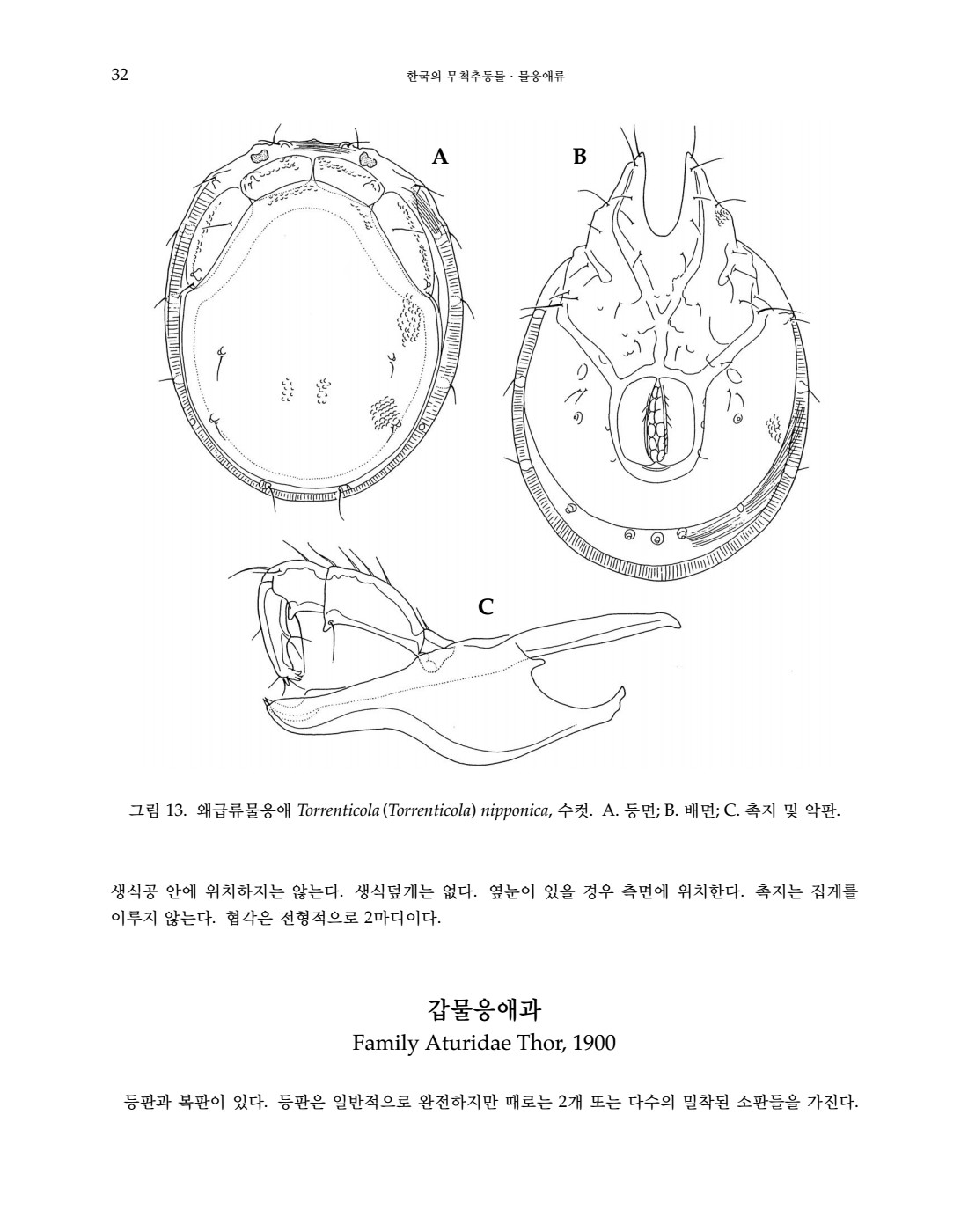 페이지